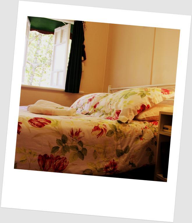 Coral Lodge Bed And Breakfast Inn Townsville Eksteriør billede